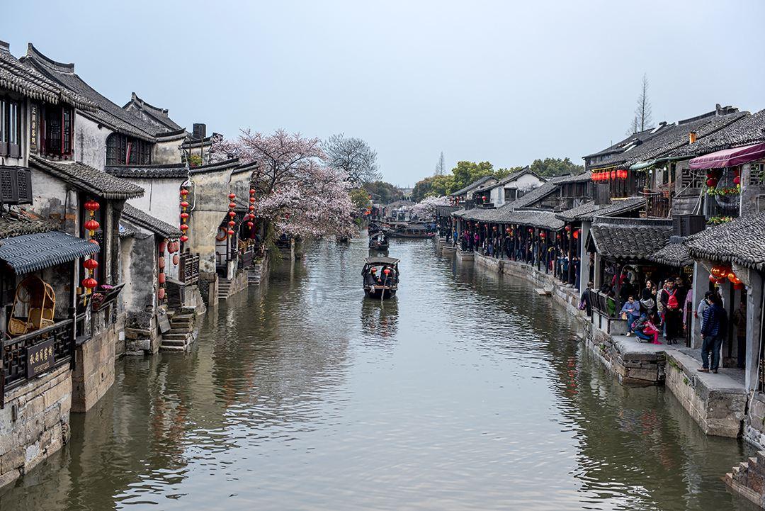 每天吃一个,堪比10个苹果!能有效降低血脂、血压、血糖